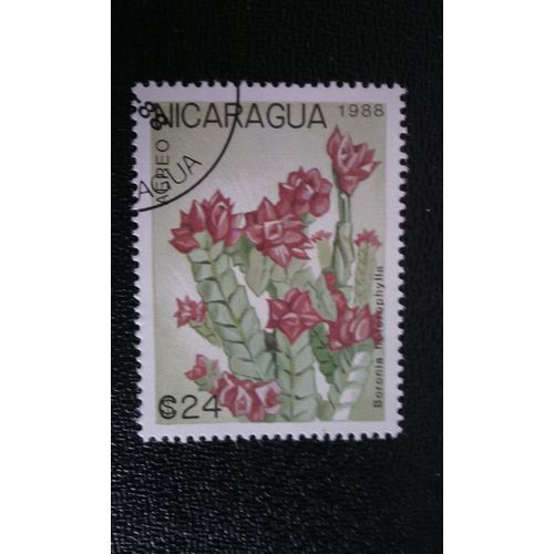 Timbre Nicaragua ( Yt Pa 1267 ) 1988 Boronia Heterophylla