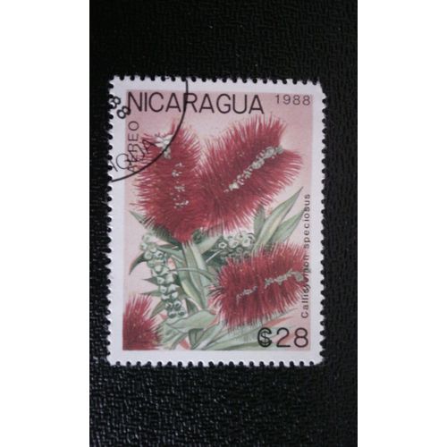 Timbre Nicaragua ( Yt Pa 1268 ) 1988 Callistemon Speciosus