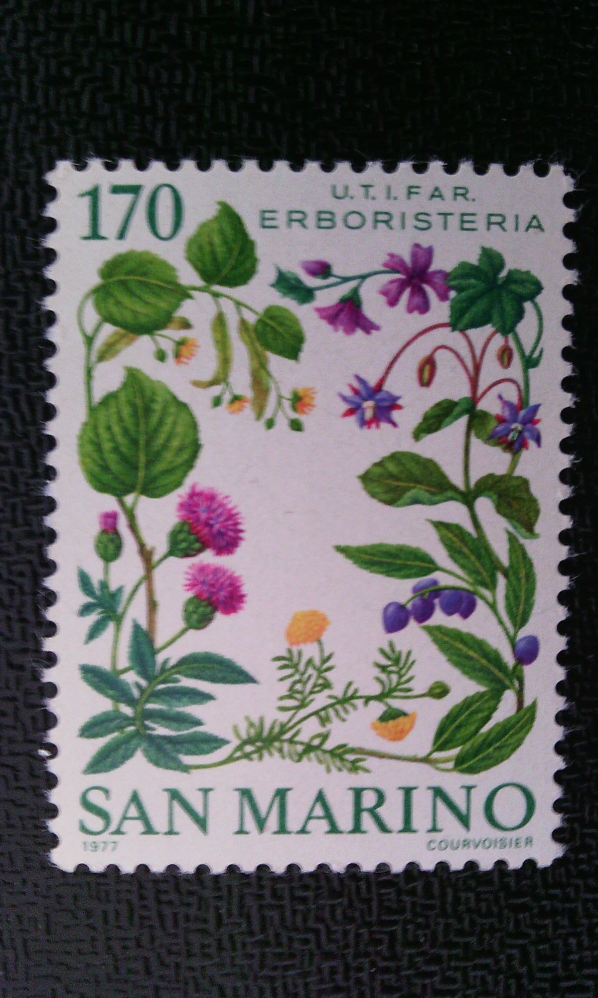 Timbre San Marino ( Yt 951 ) 1977 Herboriste - U.T.I.F.A.R. - Association