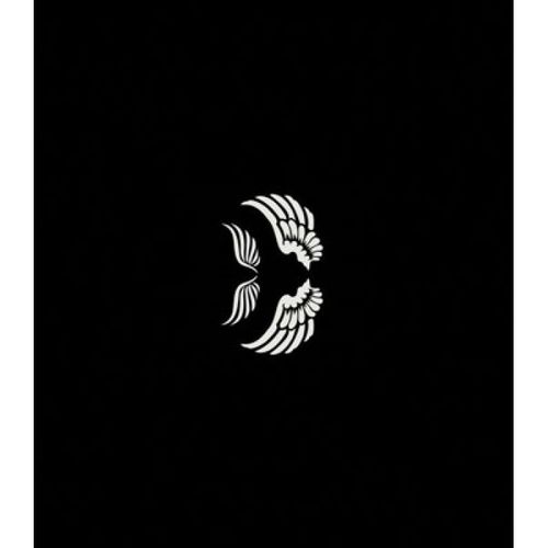 Pochoir Adhésif Ailes D'ange 7x10 Cm