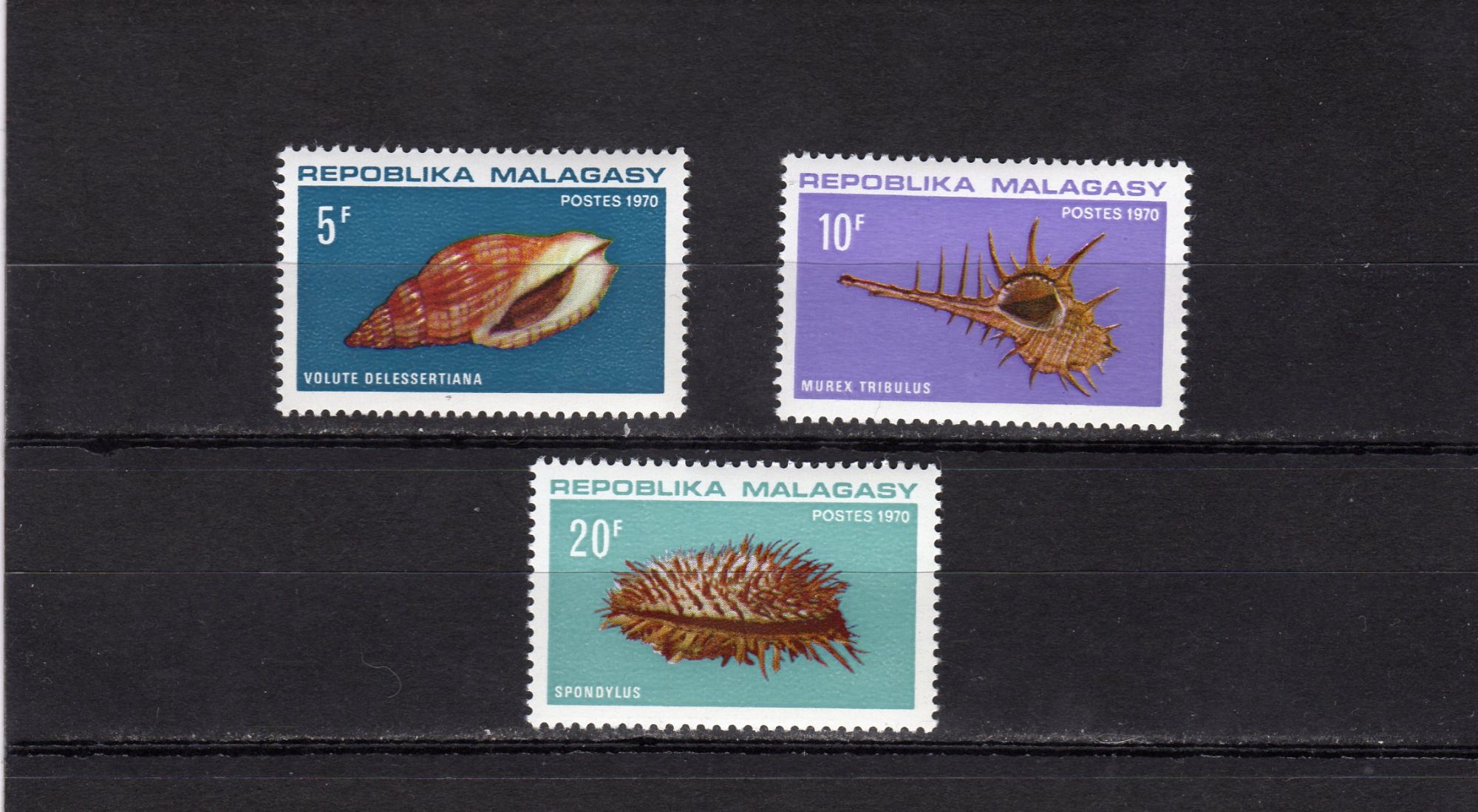 Timbres-Poste De Madagascar (Coquillages)