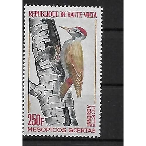 Haute-Volta 1964 Poste Aerienne : Oiseau : Pic Gris - Timbre 250 F. Neuf * Cote 12 ¿