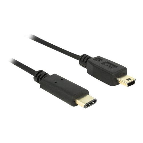 Delock - Câble USB - 24 pin USB-C (M) pour mini-USB de type B (M) - USB 2.0 - 500 mA - 2 m - noir