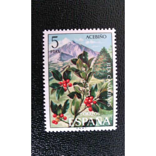 Timbre Espagne ( Yt 1777 ) 1973 Ilex Canariensis