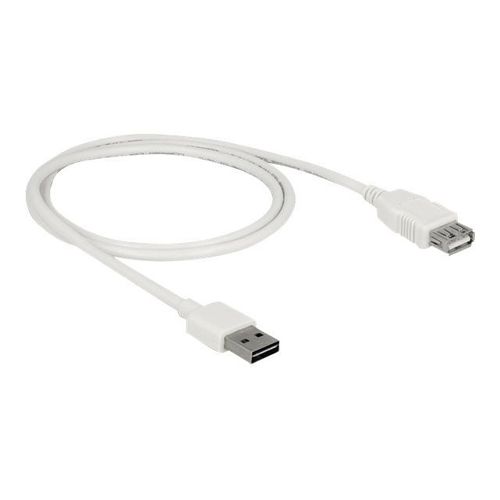 Delock Easy - Rallonge de câble USB - USB (M) reversible pour USB (F) - USB 2.0 - 1 m - blanc