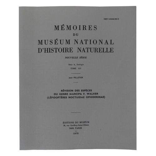 Révision Des Espèces Du Genre Marcipa F. Walker (Lépidoptères Noctuidae Ophiderinae)