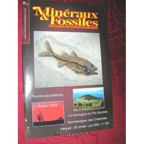 Mineraux Et Fossiles - N° 329 . Juin 2004 .