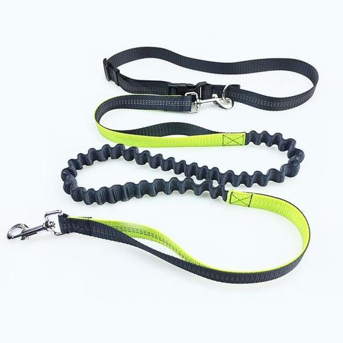 Laisse Ceinture Mains Libres Haute Qualité Chien Sécurité, Double Poignée , Réglable Pour Running , Jogging, Courir , Marcher ,Rando