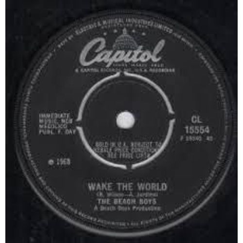 Do It Again / Wake The World