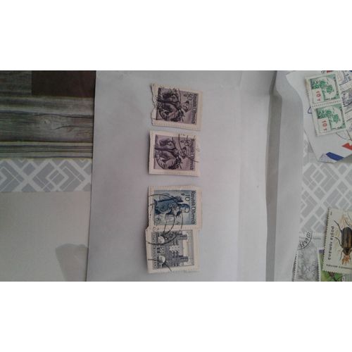 Timbre Collection