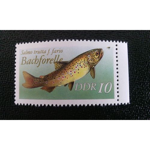 Timbre Allemagne - République Démocratique (Ddr) ( Yt 2716 ) 1987 Truite Brune (Salmo Trutta F.