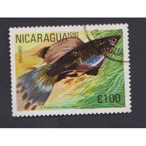 Timbre Nicaragua Poisson Animaux Marin 1