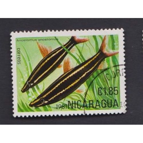Timbre Nicaragua Poisson Marin Animaux 1.85