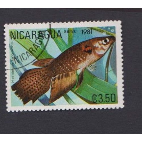 Timbre Nicaragua Poisson Marin Animaux 3.50