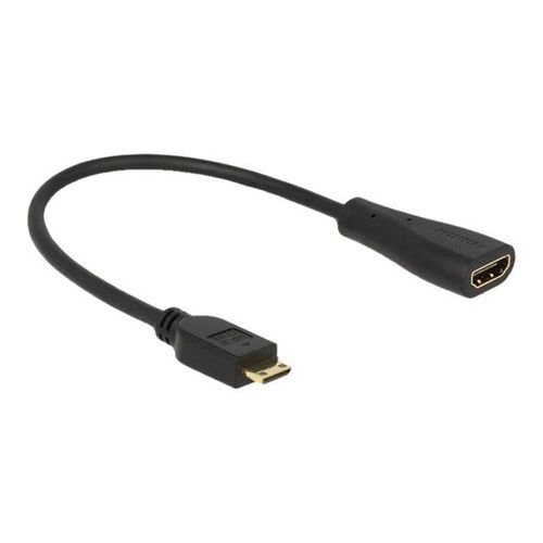 Delock - Câble HDMI avec Ethernet - 19 pin mini HDMI Type C mâle pour HDMI femelle - 23 cm - noir