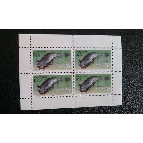 Timbre Allemagne - République Démocratique (Ddr) ( Yt 2717bf ) 1987 Silure Glane (Silurus Glanis)