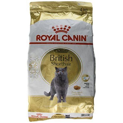 Royal Canin British Shorthair Adulte - 4kg