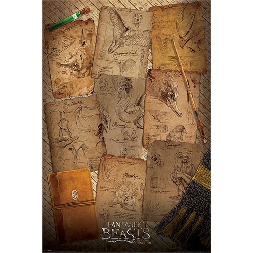 Fantasctic Beasts - Notebbok Pages - 61x91,5cm - Affiche / Poster Envoi En Tube