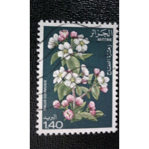 Timbre Algerie Yt 682 1978 Fleurs De Pommiers