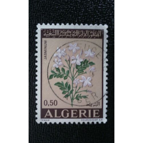 Timbre Algerie Yt 551 1972 Fleurs - Jasminum