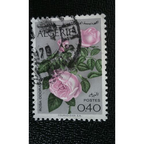 Timbre Algerie Yt 569 1973 Rosa Odorata