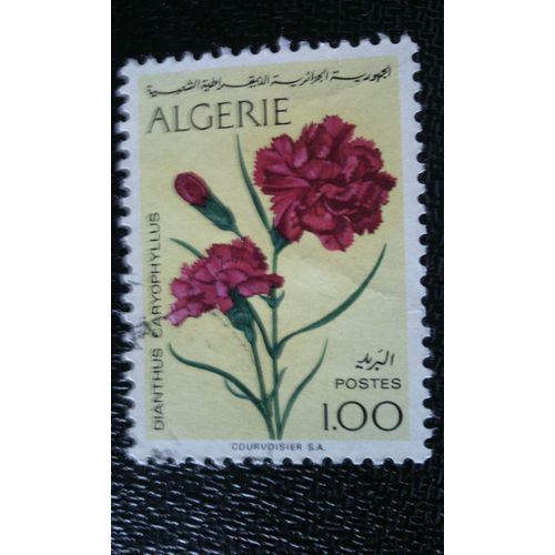 Timbre Algerie Yt 570 1973 Dianthus Caryophyllus