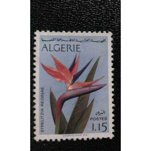 Timbre Algerie Yt 571 1973 Strelitzia Reginae