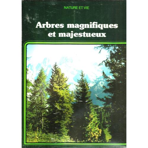 Arbres Magnifiques Et Majestueux