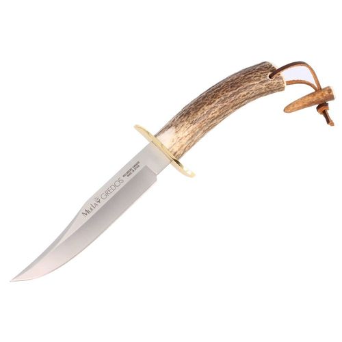 Couteau De Chasse Muela Gredos Gred-16 Fist Vinaigrier Et Laiton, Feuille Mova Polyvalente 16cm + Carte Cadeau