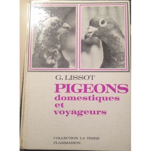 Pigeons Domestiques Et Voyageurs