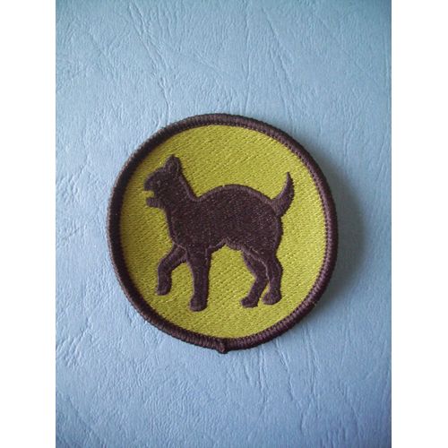 Patch Epaule Usa / Insigne De Division / Original