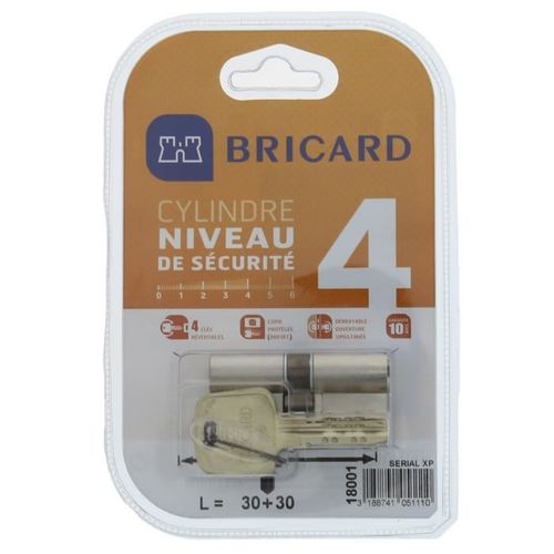 BRICARD SERIAL XP 18001 Cylindre 30+30 mm double entrée nickelé niveau de sécurité 4