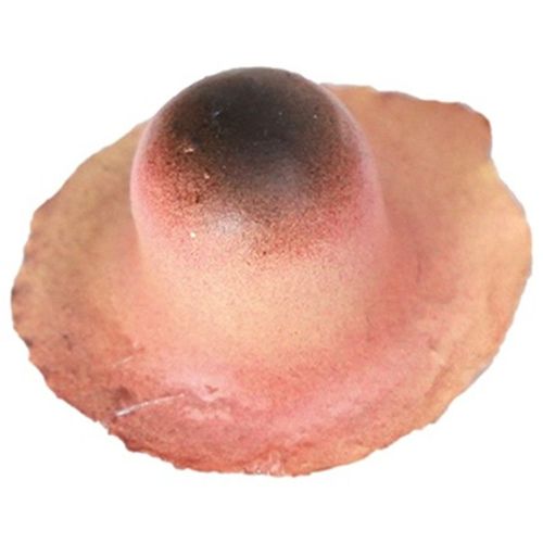 Maquillage Fxs Verrue De Sorci?Re (Taille Unique)