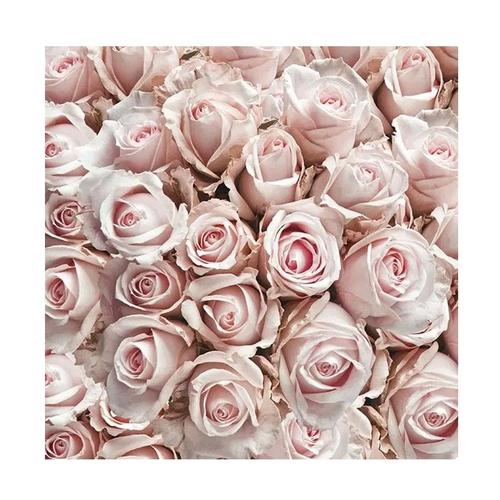 20 Serviettes Fleur Rose Pastel 33x33cm