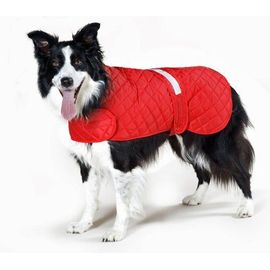 Cosipet Anorak De Sécurité Pour Chien