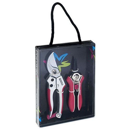 Colours Spear and Jackson Ensemble sécateur et pince coupante