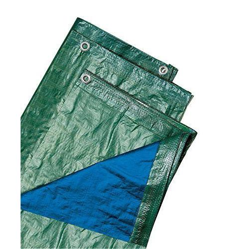 Biacchi Ettore 54070 Bâche avec Vert 3 x 4 oeillets 100 g/m