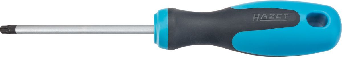 Hazet Tournevis - Profil TORX intérieur - Taille: T 15 - 810-T15