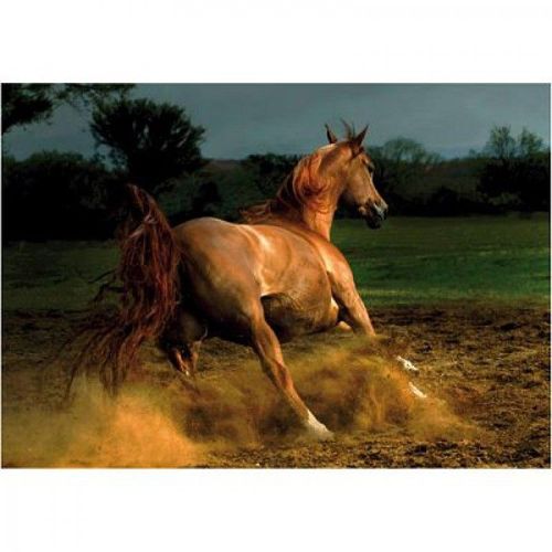 Puzzle 1000 Pièces Cheval Chestnut