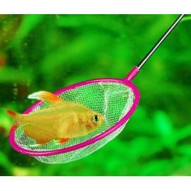 Epuisette de poche pour aquarium,filet de pêche rétractable 3D, manche en  acier inoxydable, cadre rond