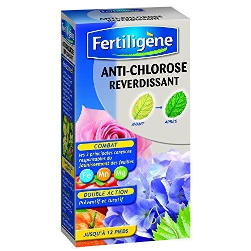 Fertiligene FCLOR Anti Chlorose Liquide 240 ml