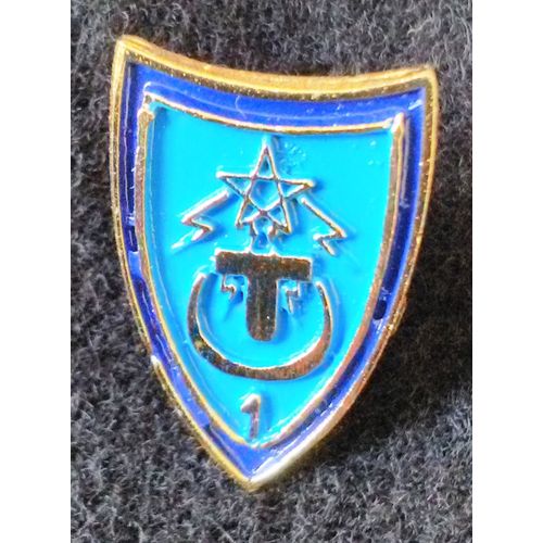 1 Cct 1 Ère Compagnie De Commandement Et De Transmissions De L& 1bm Dissoute En 2015 Pins De L'insigne