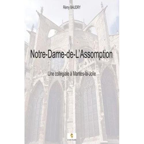 Notre-Dame-De-L'Assomption - Une Collégiale À Mantes-La-Jolie