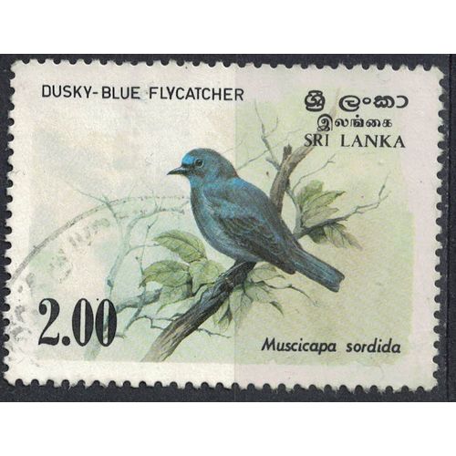 Sri Lanka 1983 Oblitéré Used Oiseau Muscicapa Sordida Eumyias Sordida