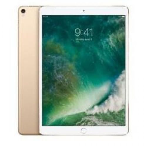 Ipad Pro Wifi 256gb Gold