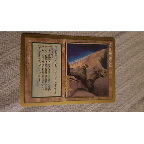 Wizard's School Homelands