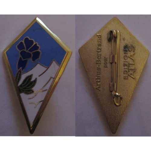 Insigne Division Alpine