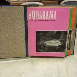 Aquarama