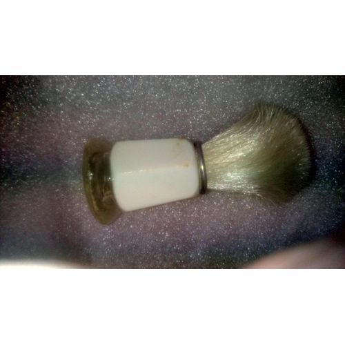Blaireau Blanc Et Transparent
