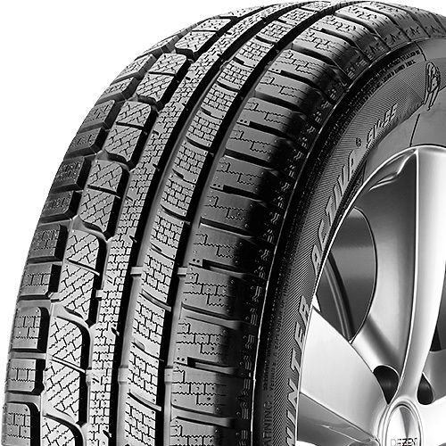 Nankang Winter Activa SV-55 ( 255/40 R19 100V XL , avec protège-jante (MFS) )
